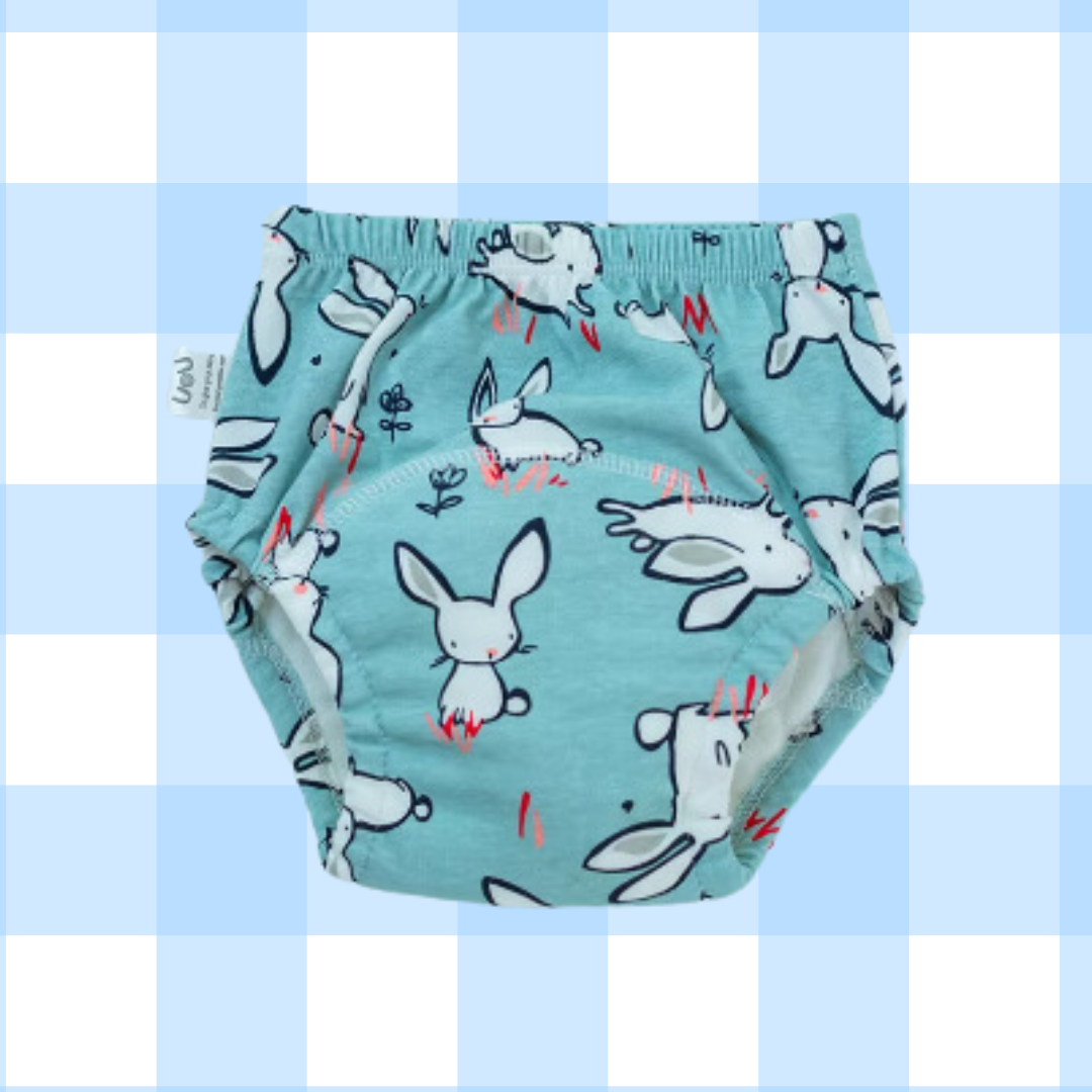 Potty Training Undies